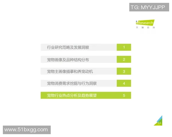 北京滑板队技术对比深度解析与发展趋势探讨