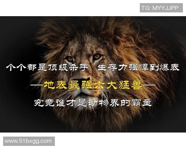 全球足球明星猛兽排名榜揭晓谁将成为新一代的球场霸主